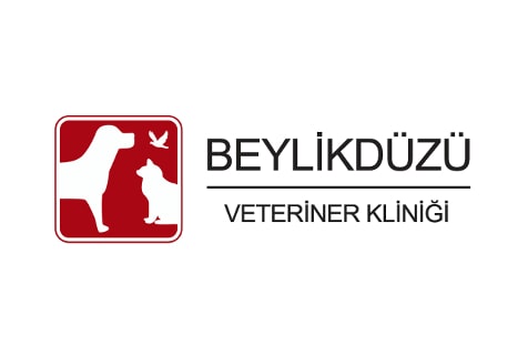 Beylikdüzü Veteriner Kliniği