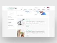 Veteriner Web Tasarım V4