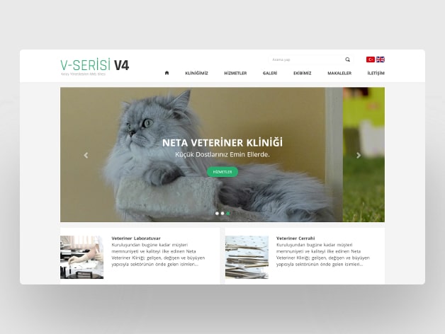 Veteriner Web Tasarım V4