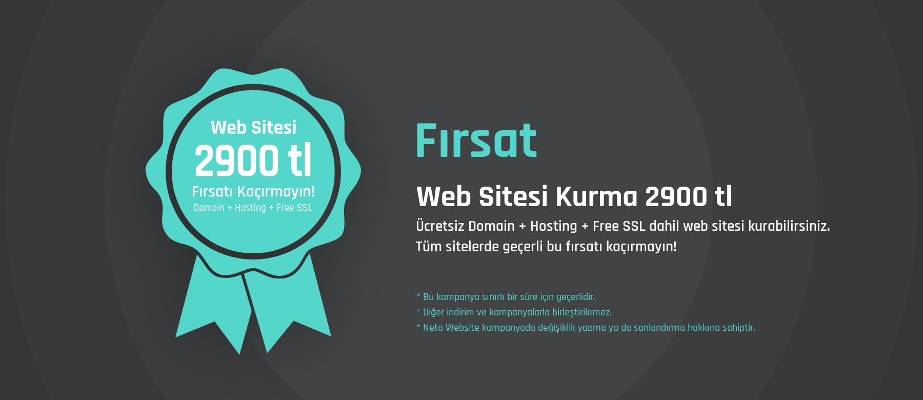 Web Sitesi Kurma Fiyatları 2900 TL